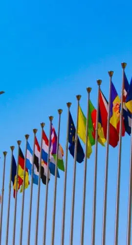 airplane flying over the national flags