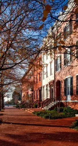 Brown leaf tree near brown wall painting
