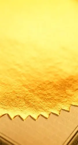 Close up of a gold seal on a certificate.