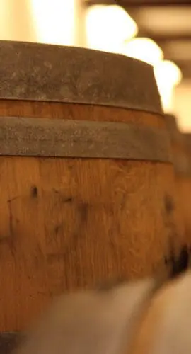 Close up shot barrel