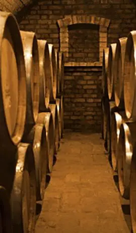 A dimly lit wine cellar lined with wooden barrels along its brick walls.