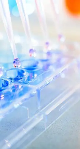 A close-up view of a scientific experiment featuring a 96-well plate with blue liquid and a Petri dish with pink substance in a laboratory environment.