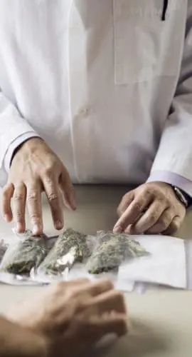 Pharmacist and customer with medical marijuana