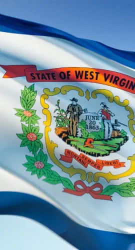 A waving flag of West Virginia with the state seal in the center.